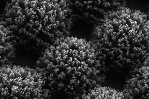 昌江昌江蔡司显微镜